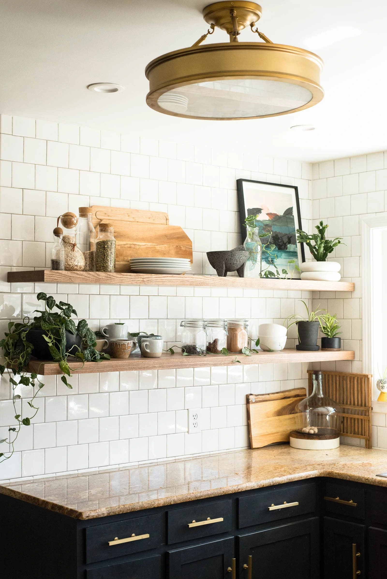 Plants on kitchen shelves