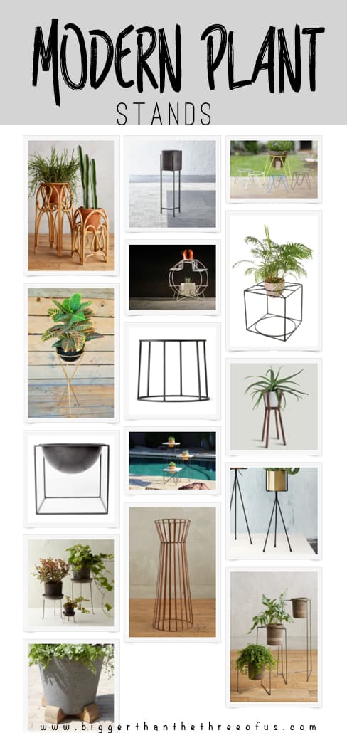 Shop this round-up for modern plant stands!