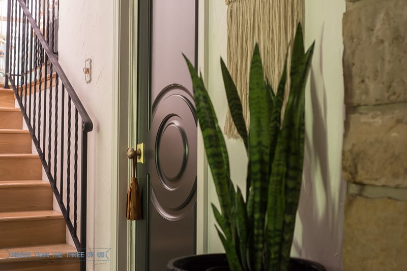 Black interior doors with brass knobs, leather tassel, wall hanging and plant