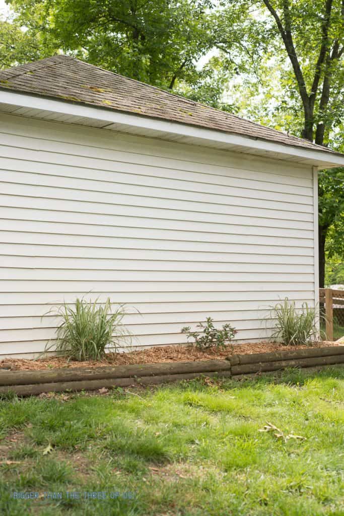 Simple Frugal landscaping around shed