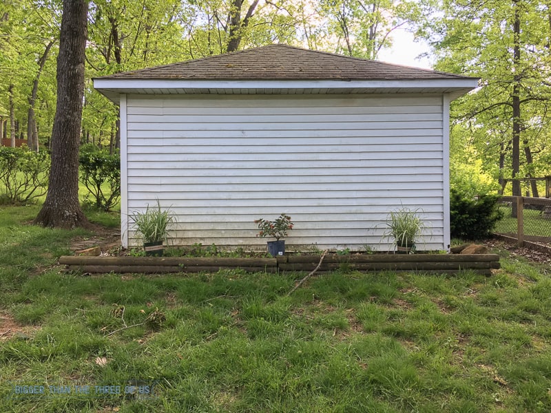 DIY Landscaping in front of shed