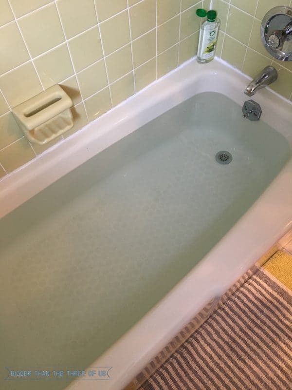 How to Water a Fiddle Leaf Fig Bigger Than the Three of Us