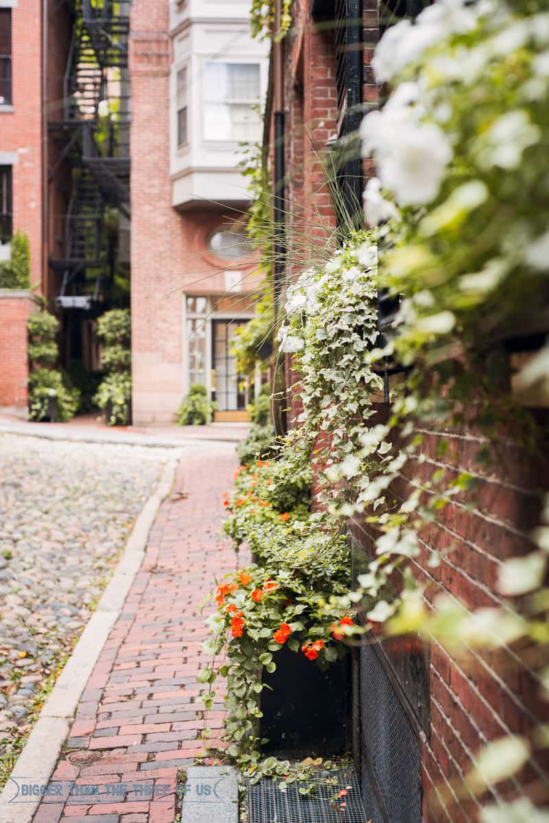 3 Days in Boston -- Where to Eat and What to See - Acorn Street in Beacon Hill 