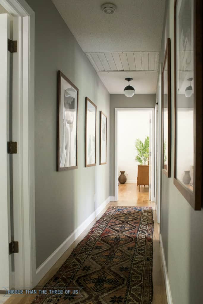 Grey Husky by Benjamin Moore in Hallway