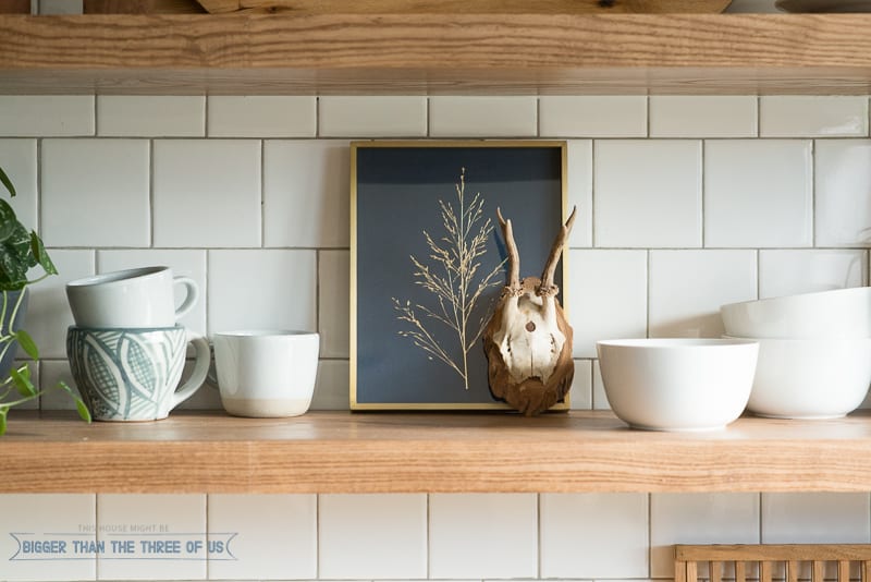 Minted Artwork on kitchen shelves