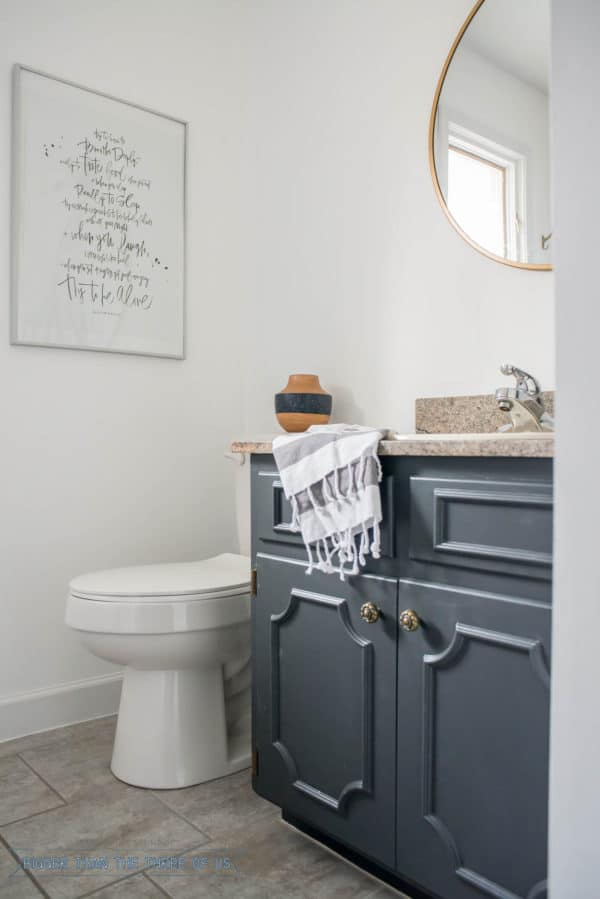 Budget Friendly Bathroom Makeover with Dark Cabinets - Bigger Than the ...