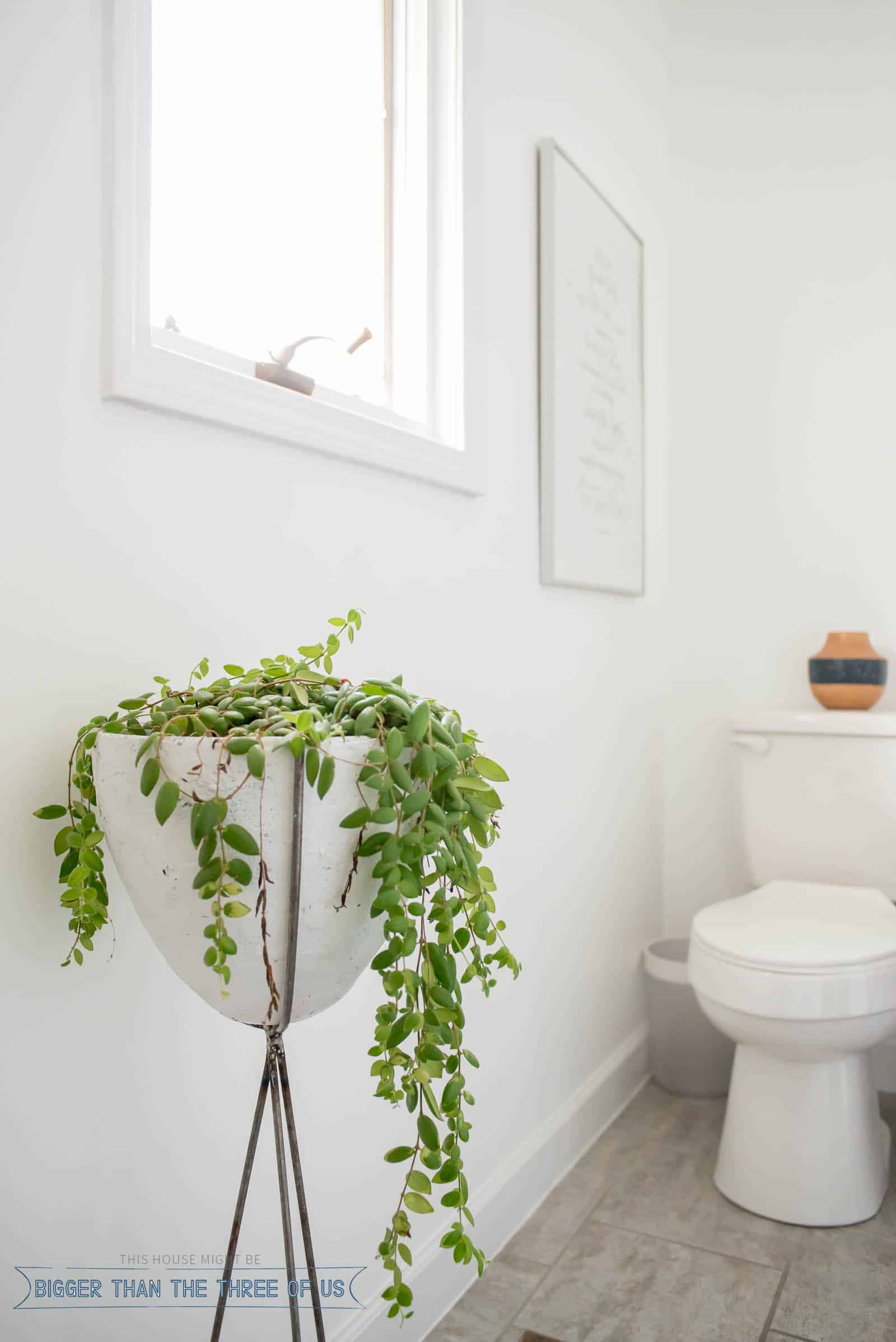 DIY Bullet Planter in bathroom