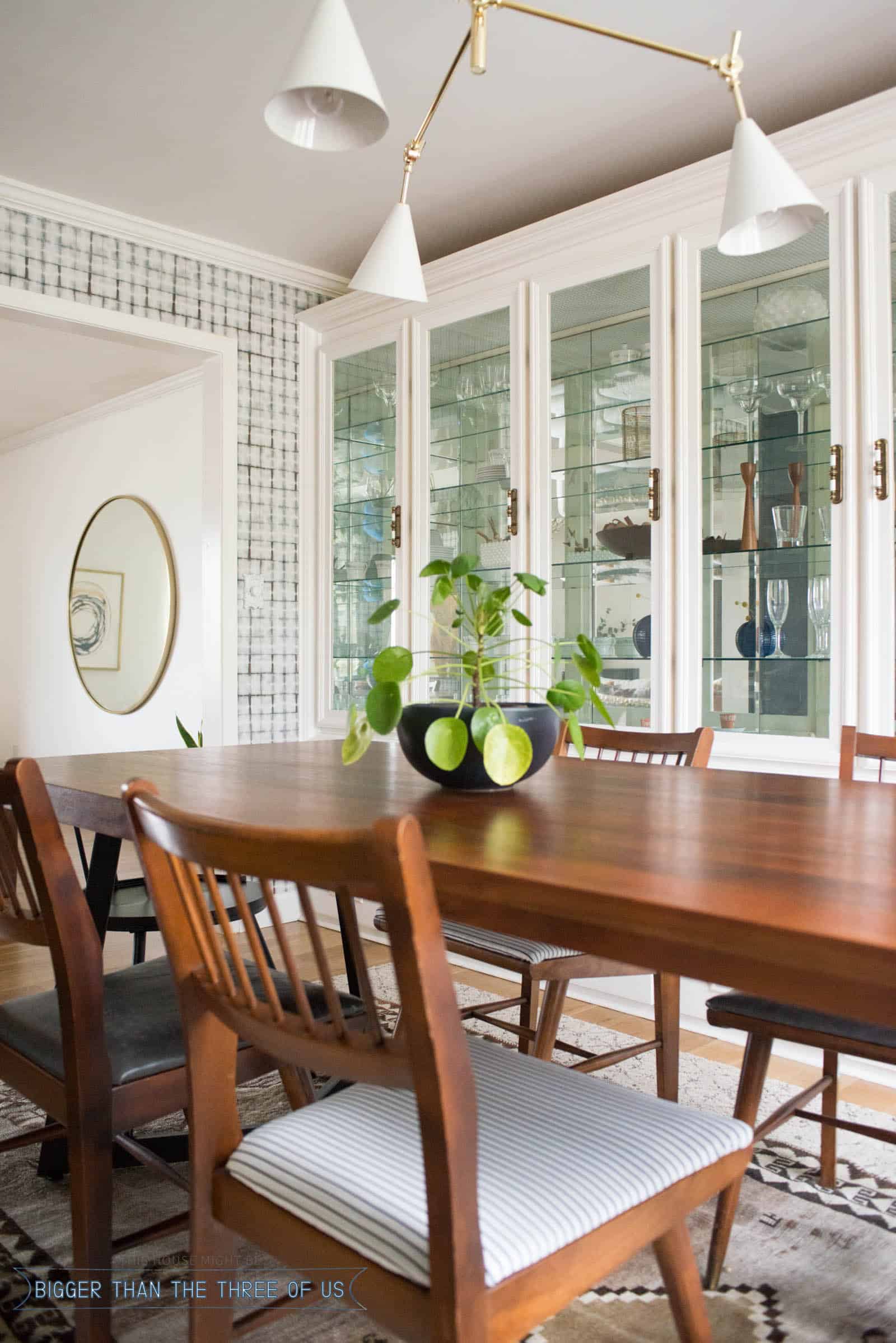 Pilea plant on table in modern dining room.