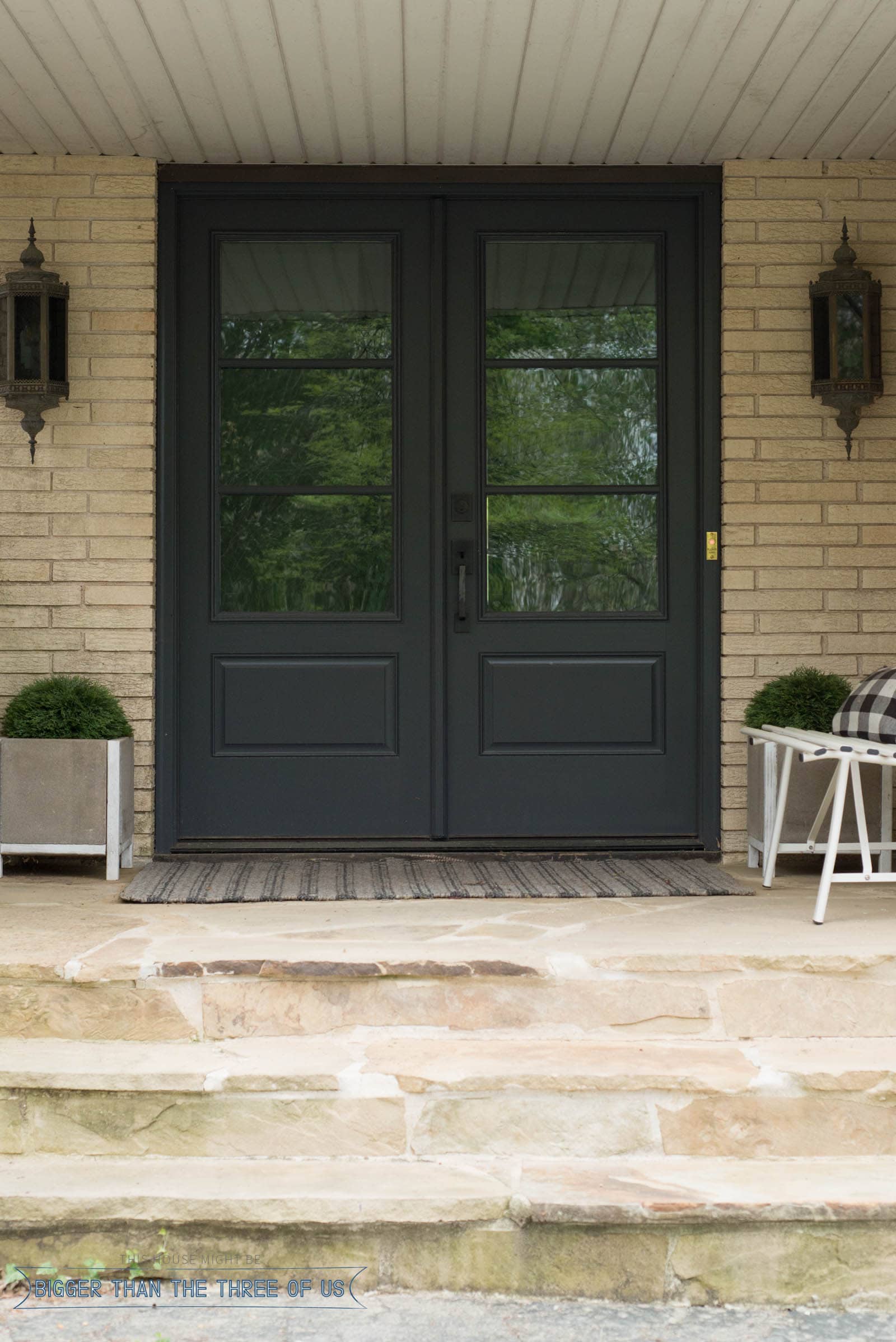 Contemporary Double Front Doors