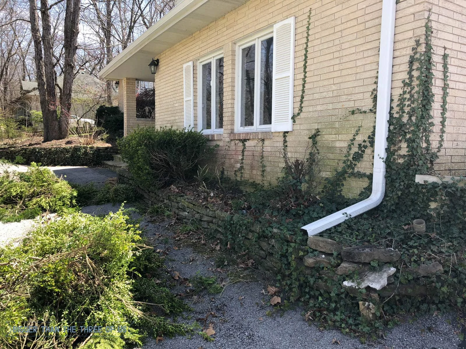 Proper Pruning of boxwoods? I don't know if this is proper or not but we had a positive experience and our boxwoods are looking as good as ever! #boxwoods #curbappeal 
