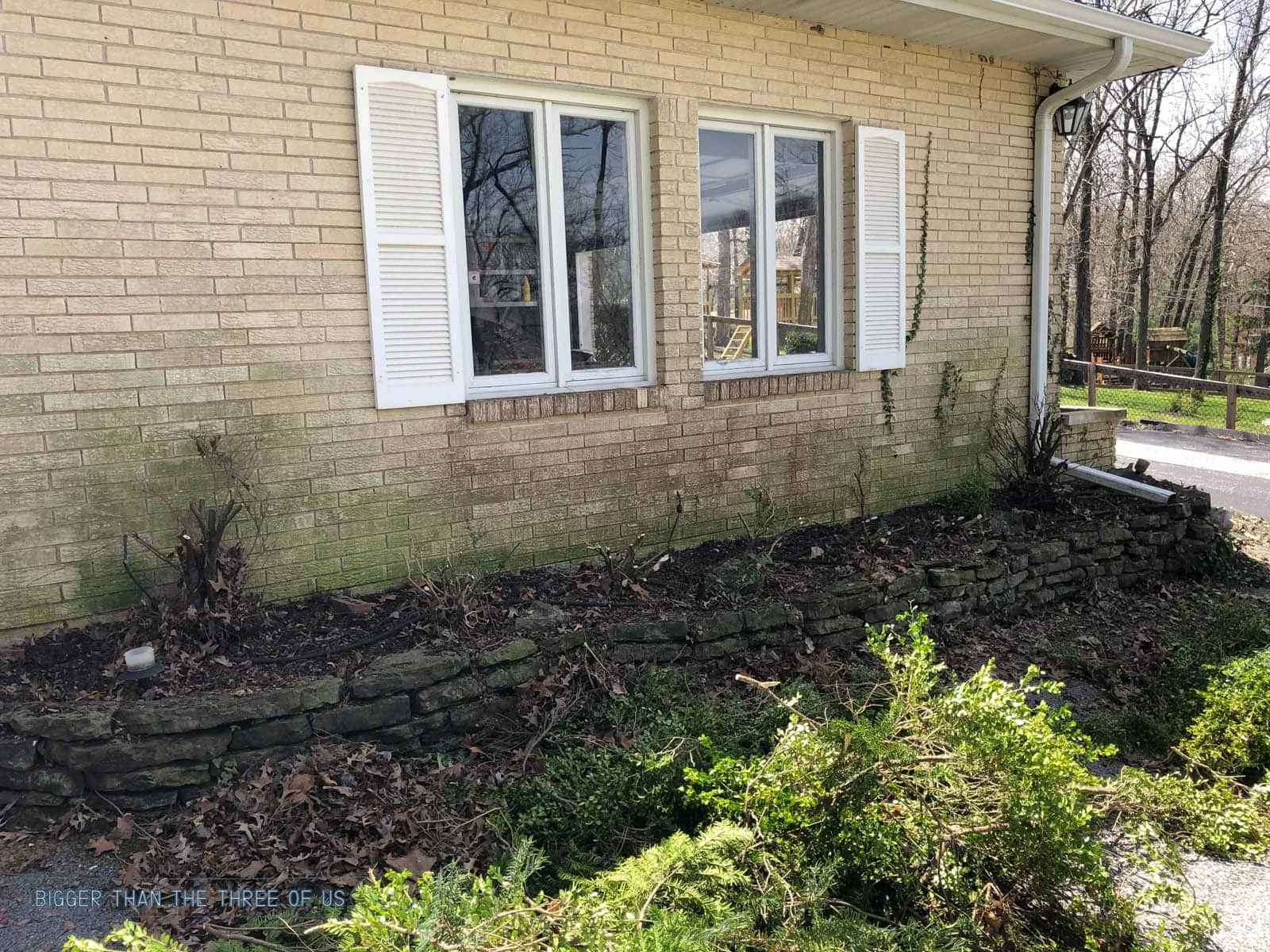 Trimming back boxwoods to create more curb appeal