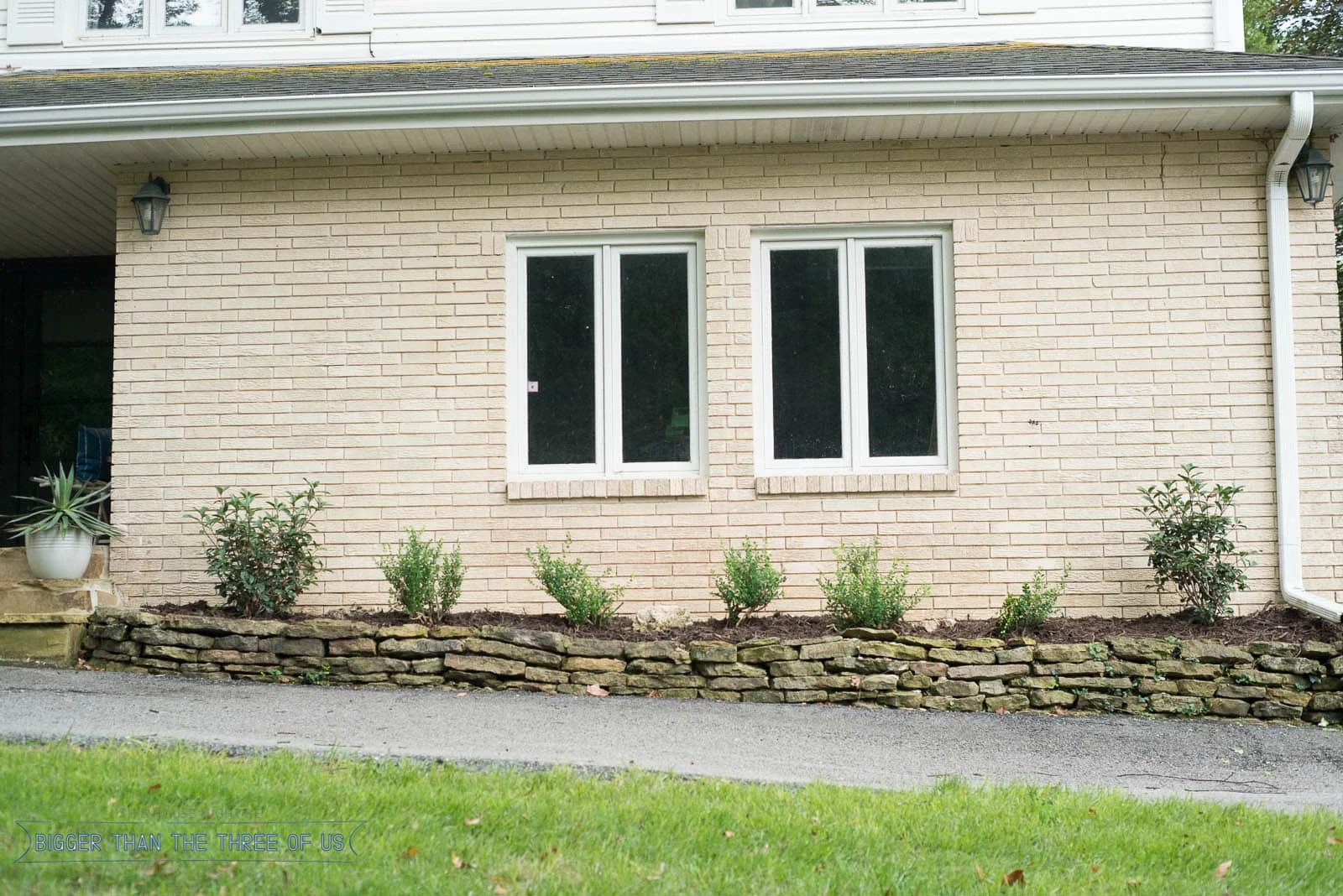 Proper Pruning of boxwoods? I don't know if this is proper or not but we had a positive experience and our boxwoods are looking as good as ever! #boxwoods #curbappeal