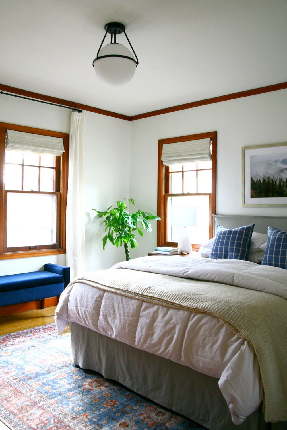 White walls in bedroom with bed to the right and a plant in the corner of the room.