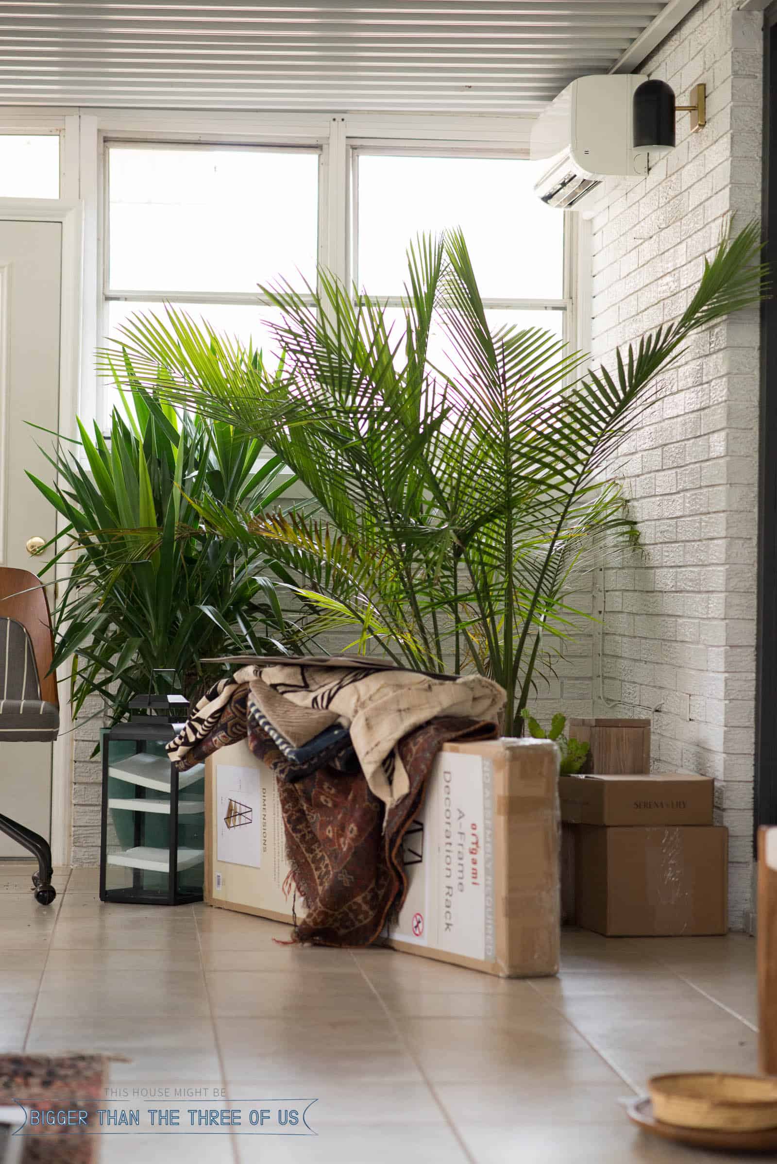 Corner of Sunroom with lots of plants. 