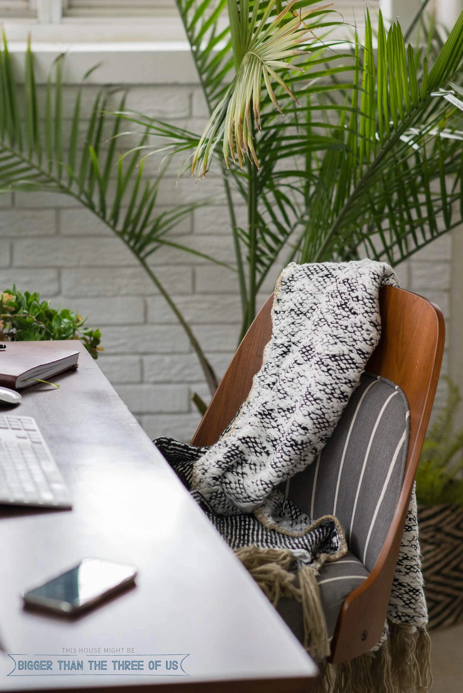 A cozy chunky blanket on office chair with plants in the background.