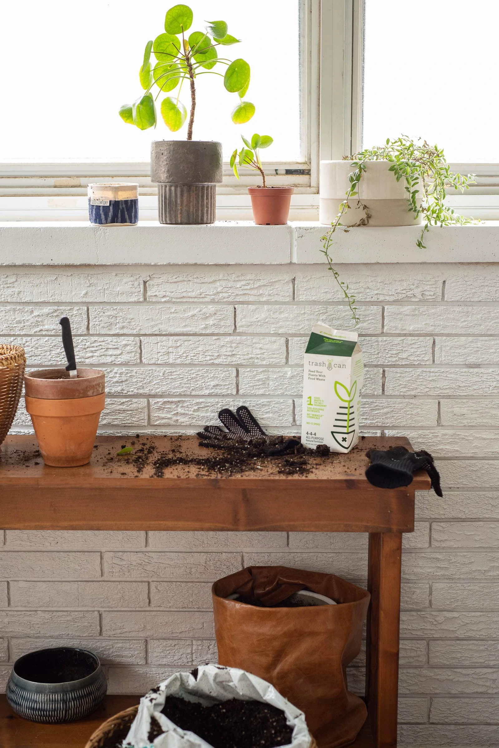 planting spot in sunroom 