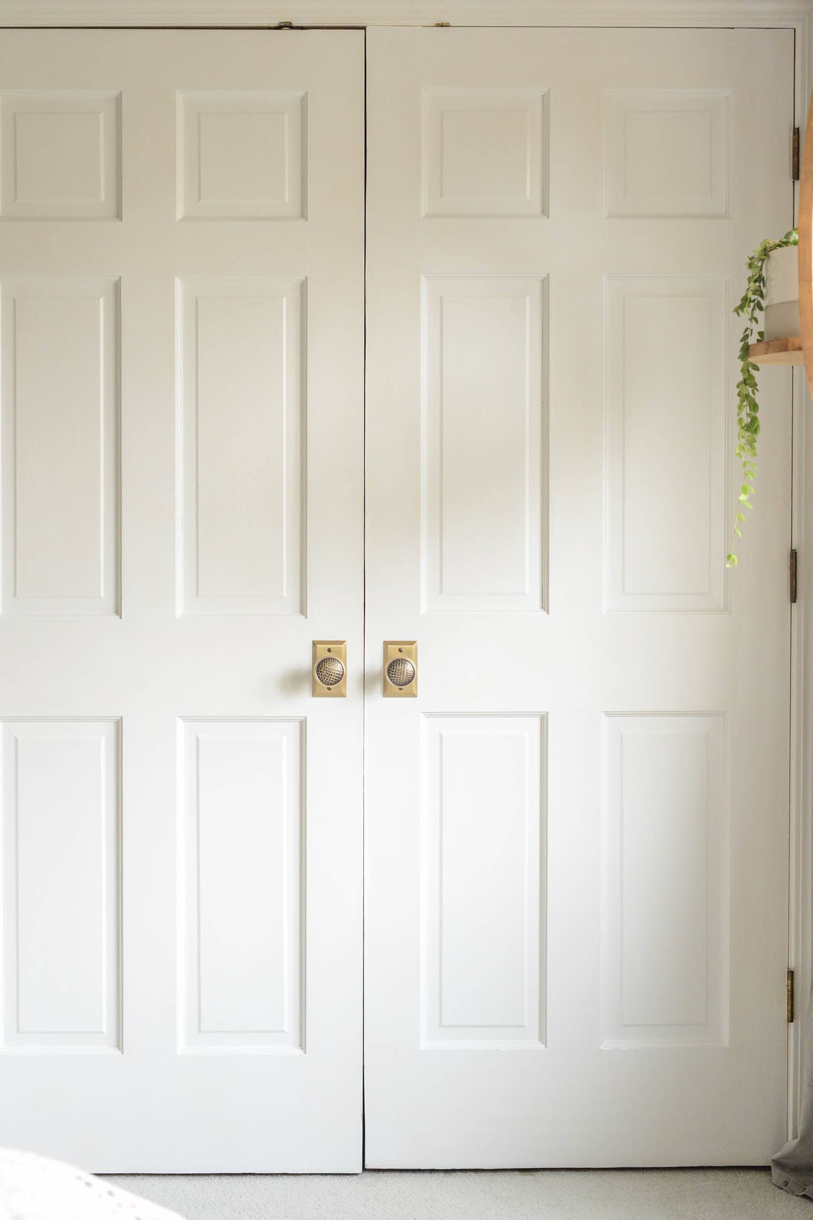 closet door knobs