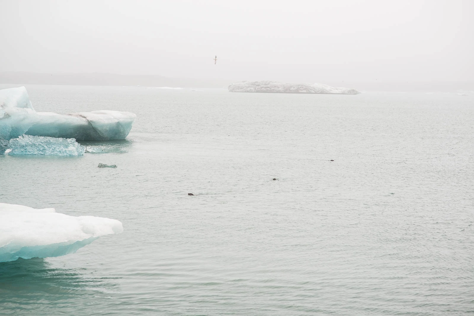 Jokulsarlon Glacier Lagoon 