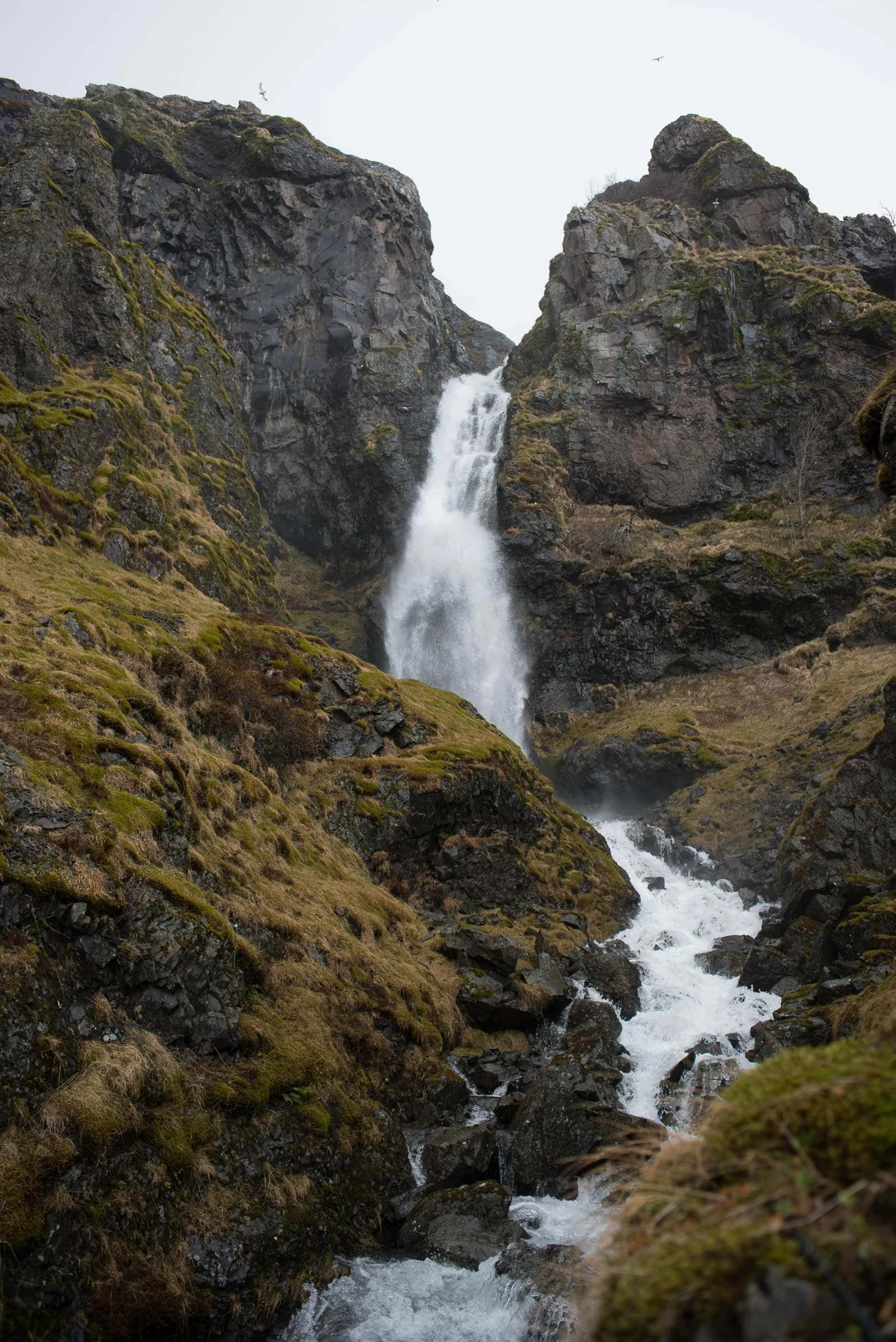 waterfall in Iceland 