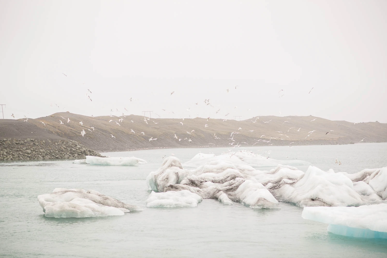 Jokulsarlon Glacier Lagoon 