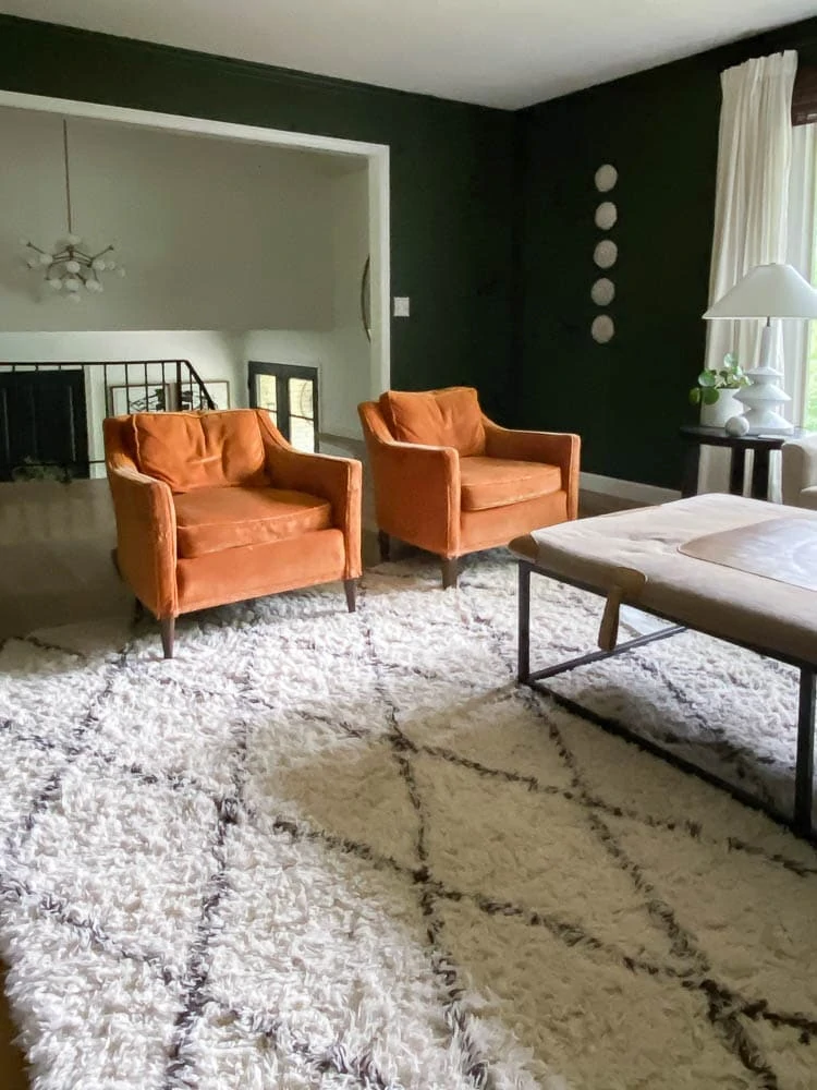 Mid century velvet chairs over a shag rug in green living room. 