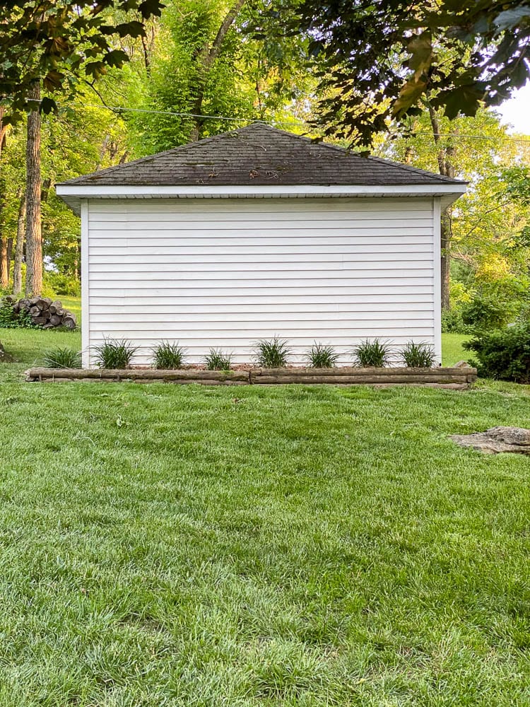 Monkey grass landscaping around shed with clean siding