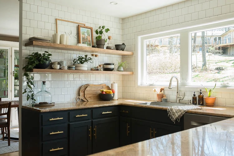 easy house plants on kitchen shelves 