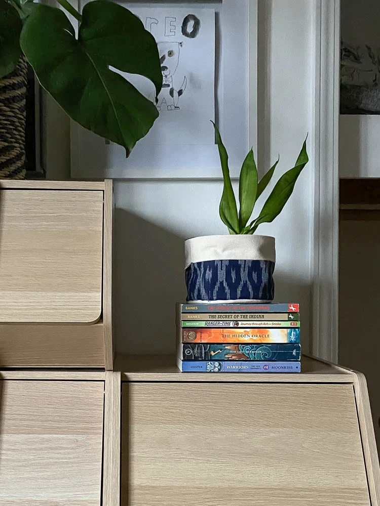 books on bookcase in kid's room with snake plant on top