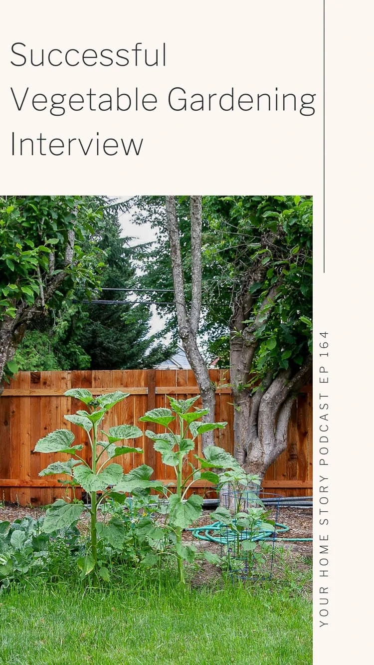 Successful vegetable gardening directly into yard without planter boxes