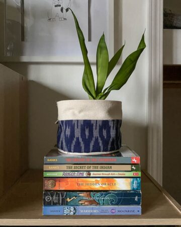 4th grade book recommendations on bookshelf with snake plant on top