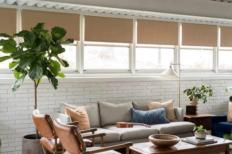 A four seasons sunroom with a gray couch and a fiddle leaf fig. 