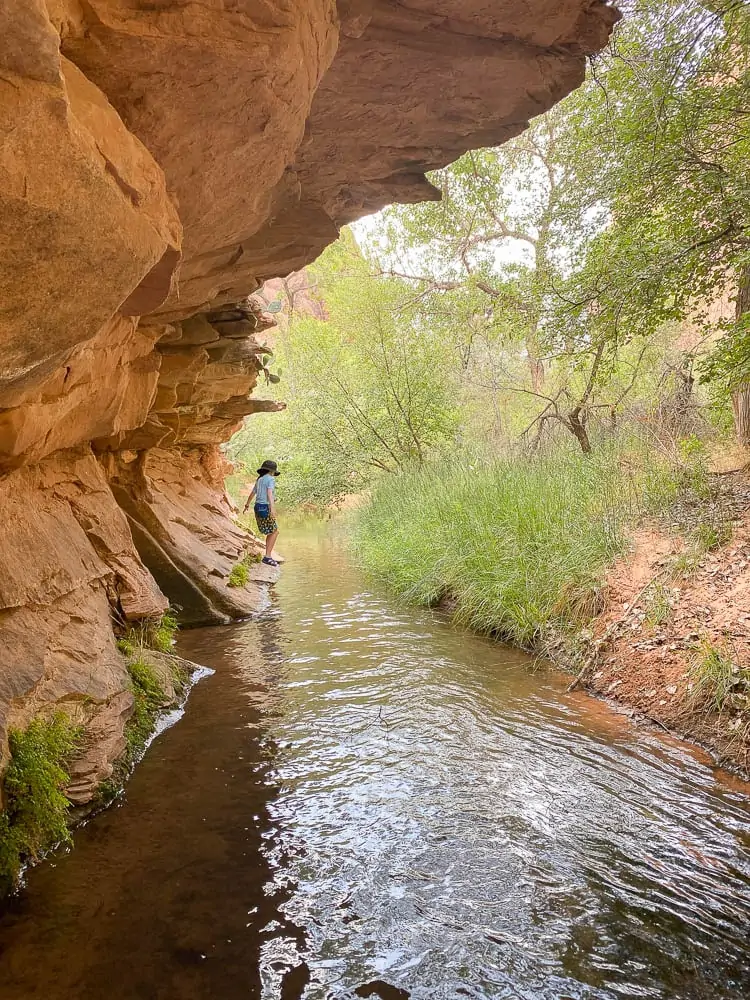 Moab Swimming Hole perfect for kiddos is the Mill Creek Canyon Hike