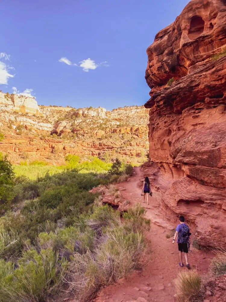 Tips for hiking Lower Calf Creek Falls Utah