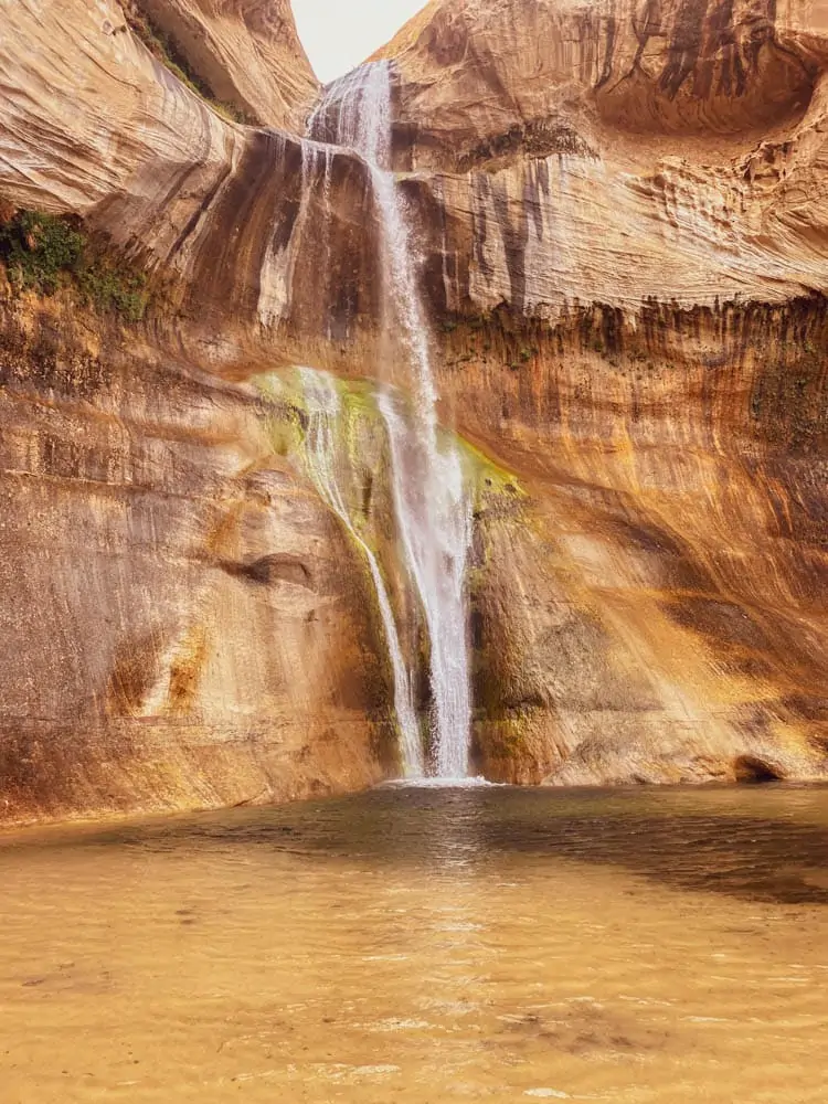 Calf Creek Falls Trail 