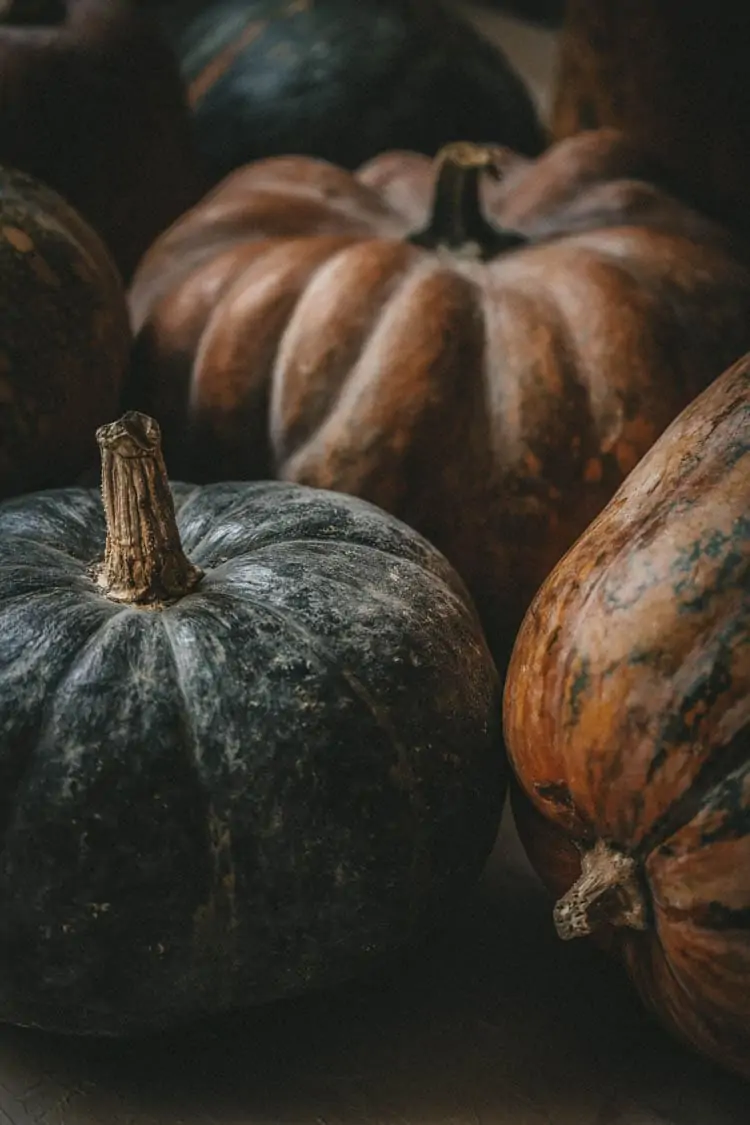 Halloween art prints: moody pumpkin art 