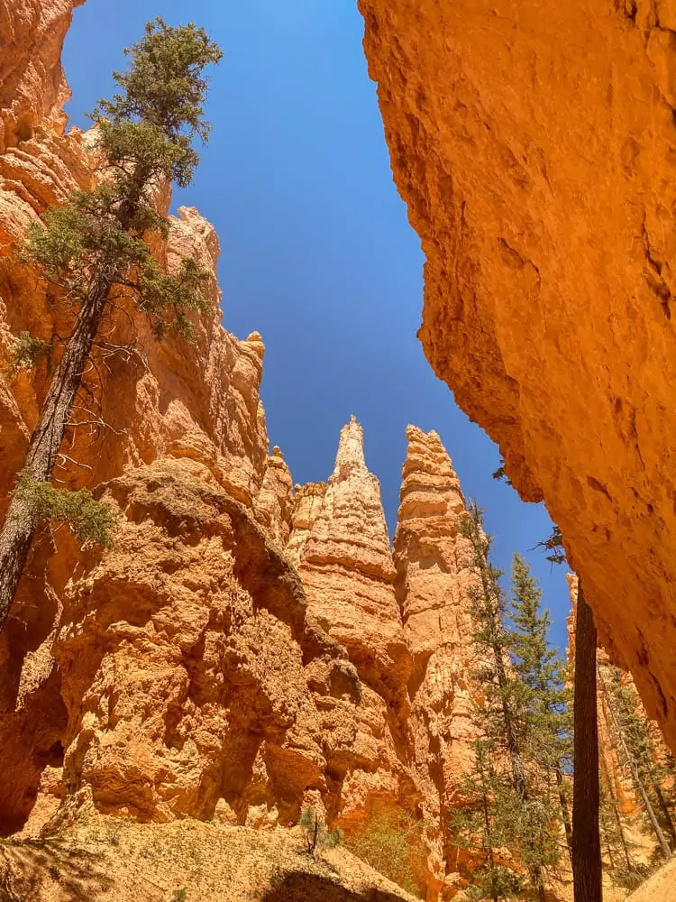 Bryce Canyon hikes