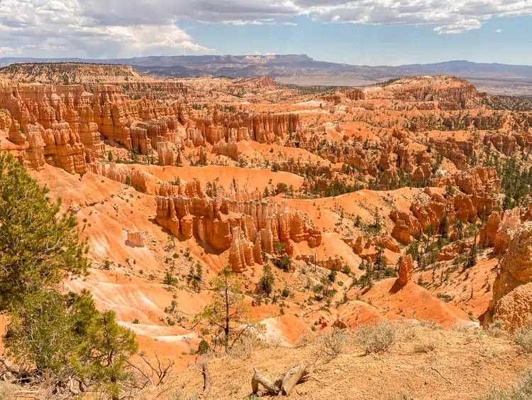 one day in Bryce Canyon 