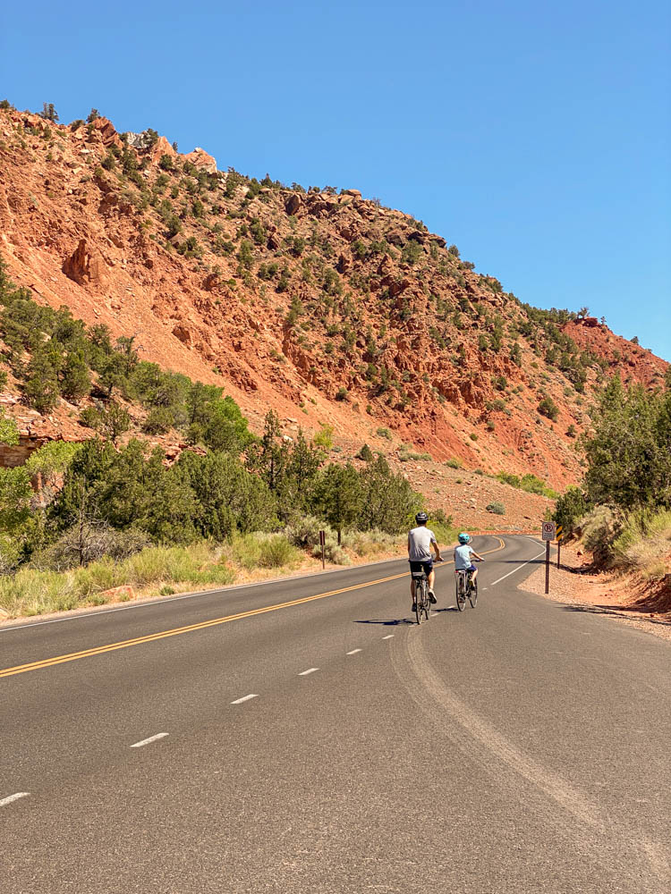 bike path on the way to the Zion national park scenic drive 