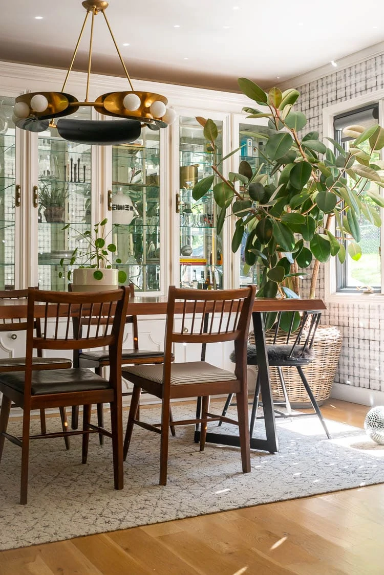 dark green plant in dining room