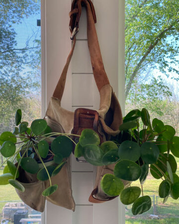 unique plant hanger in sunroom