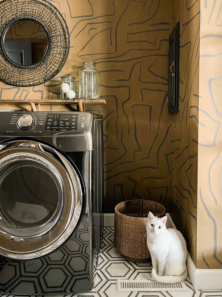 cat litter stored in glass jar on shelf above washer and dryer