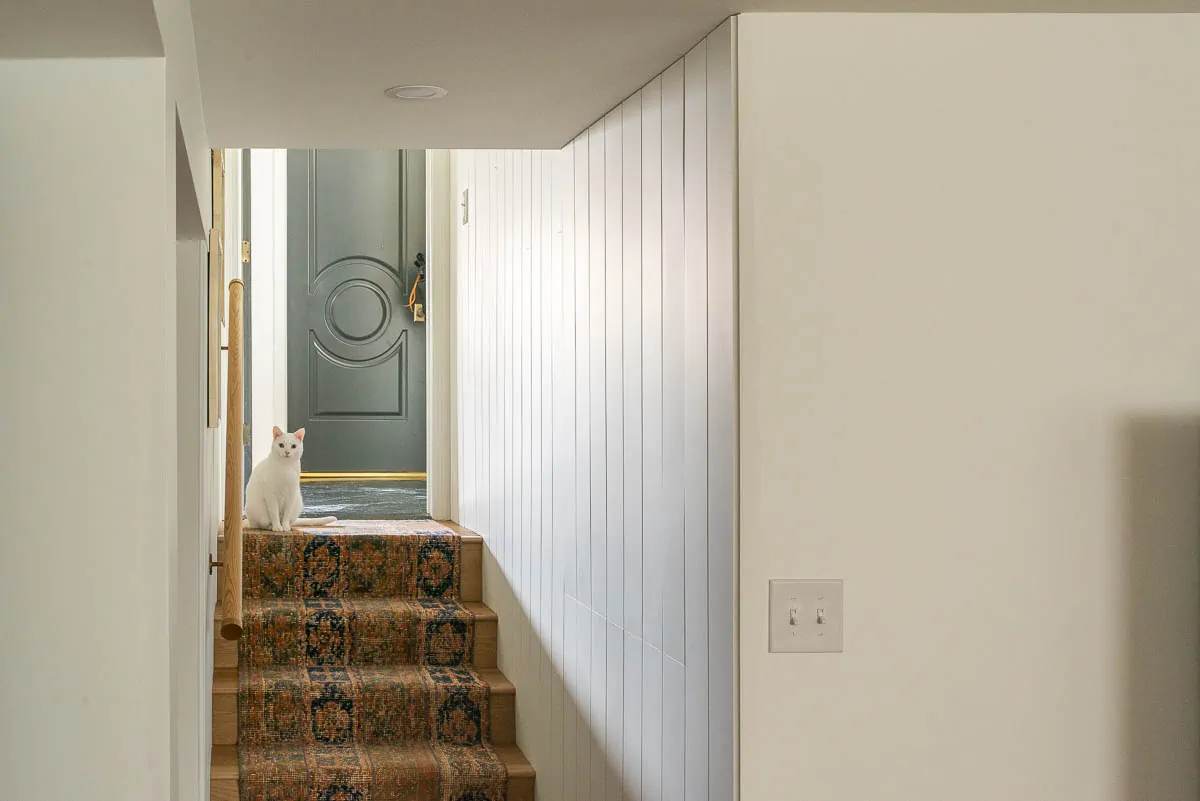 modern hidden door idea in basement