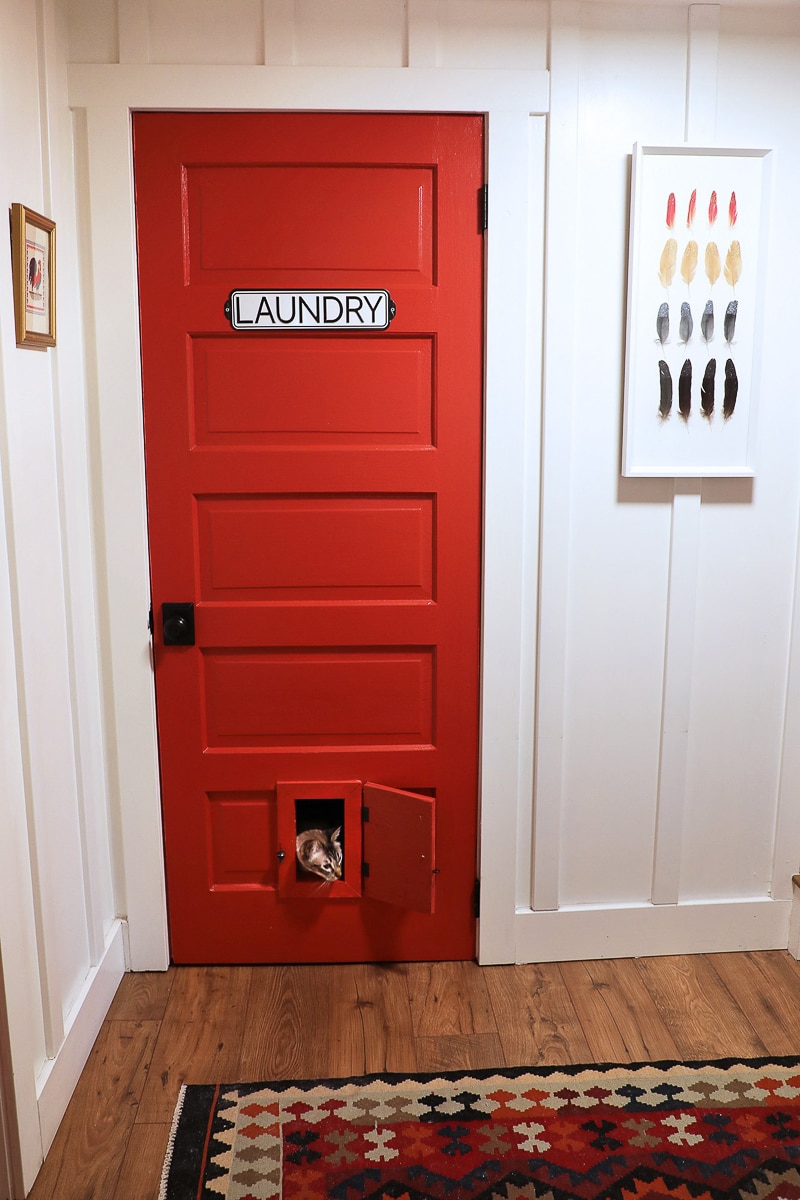 cat door indoor on a door 