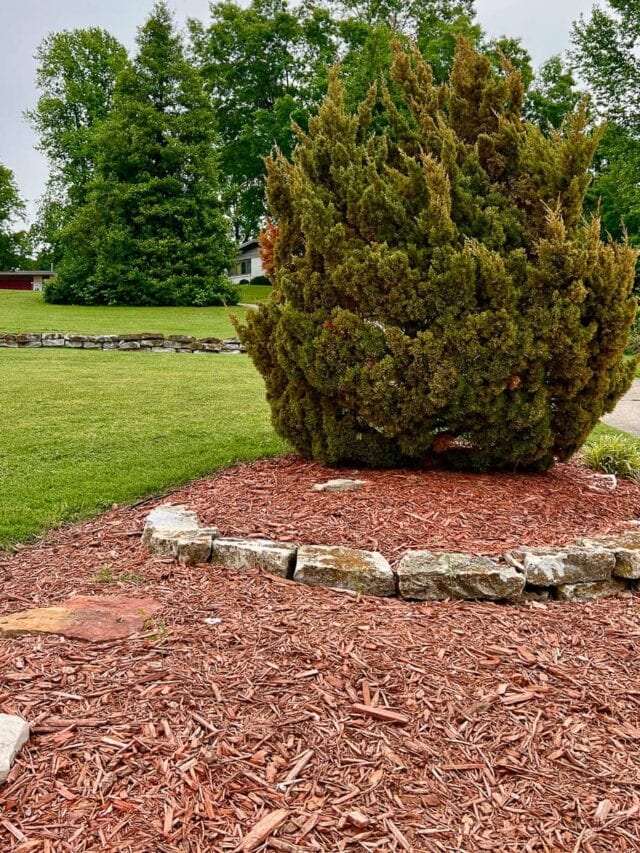 Red mulch Landscaping Bigger Than the Three of Us