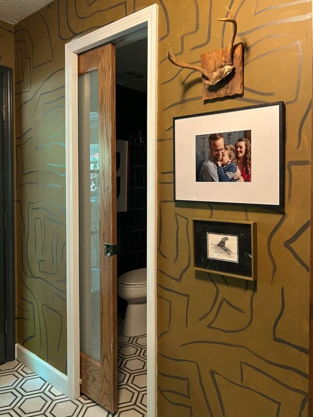 Bathroom Pocket Door Bigger Than the Three of Us