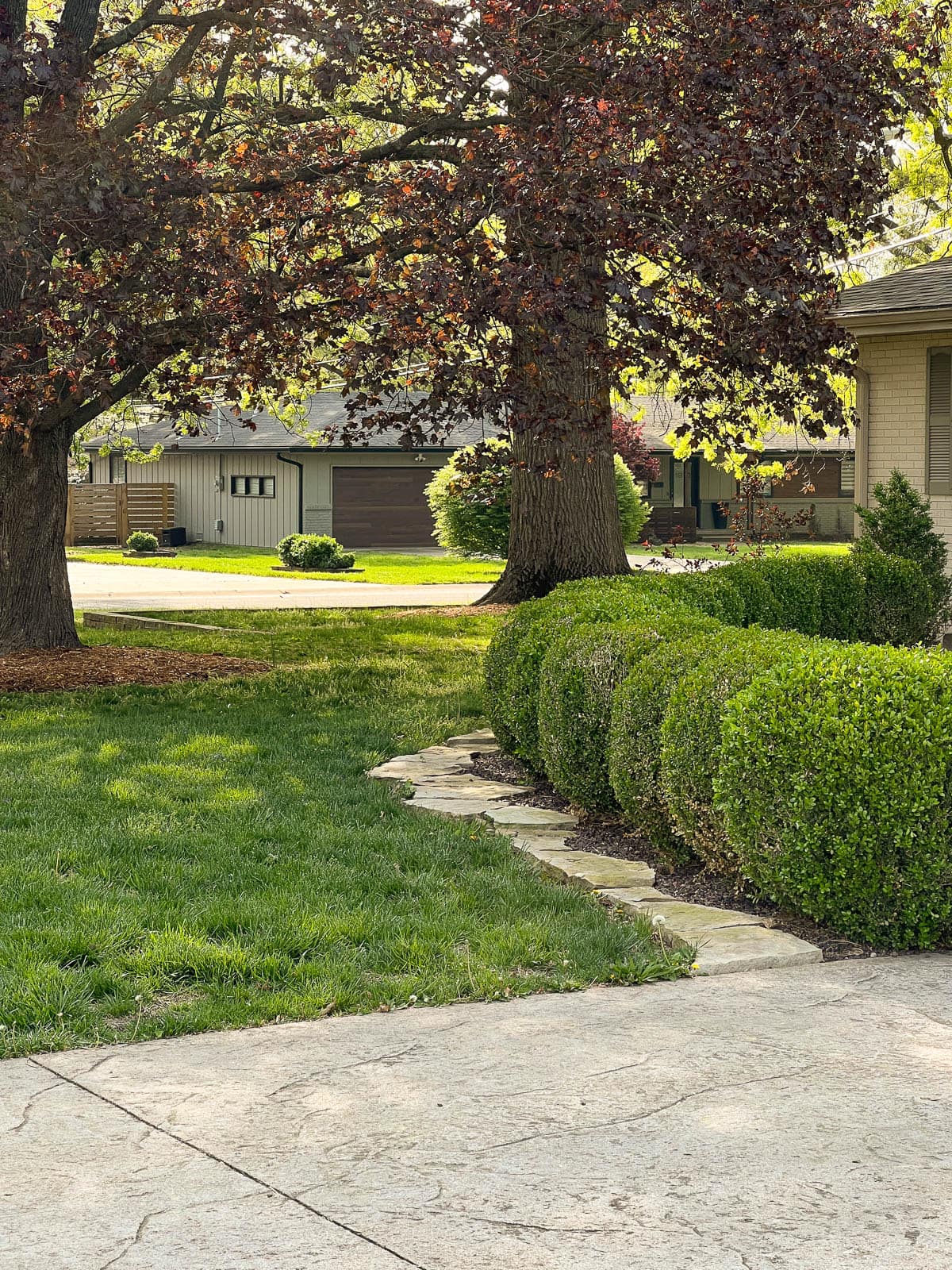 rock edging in front yard around bushes