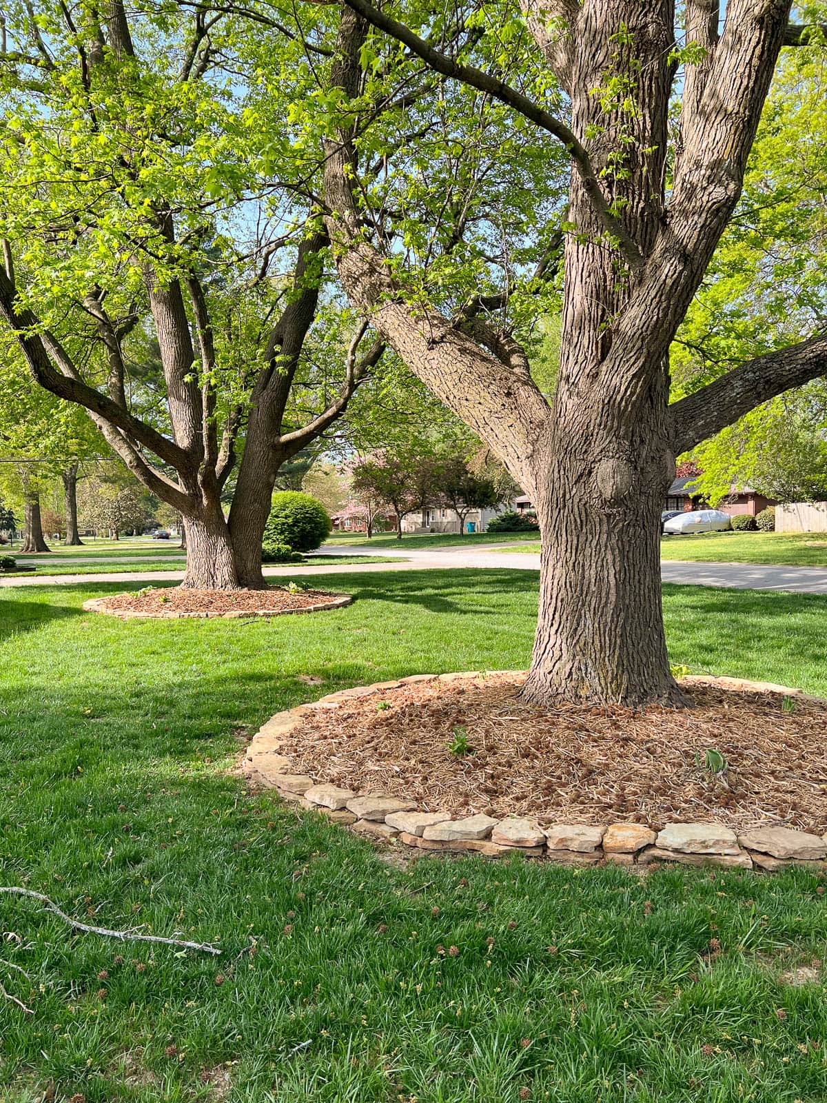 bricks around trees