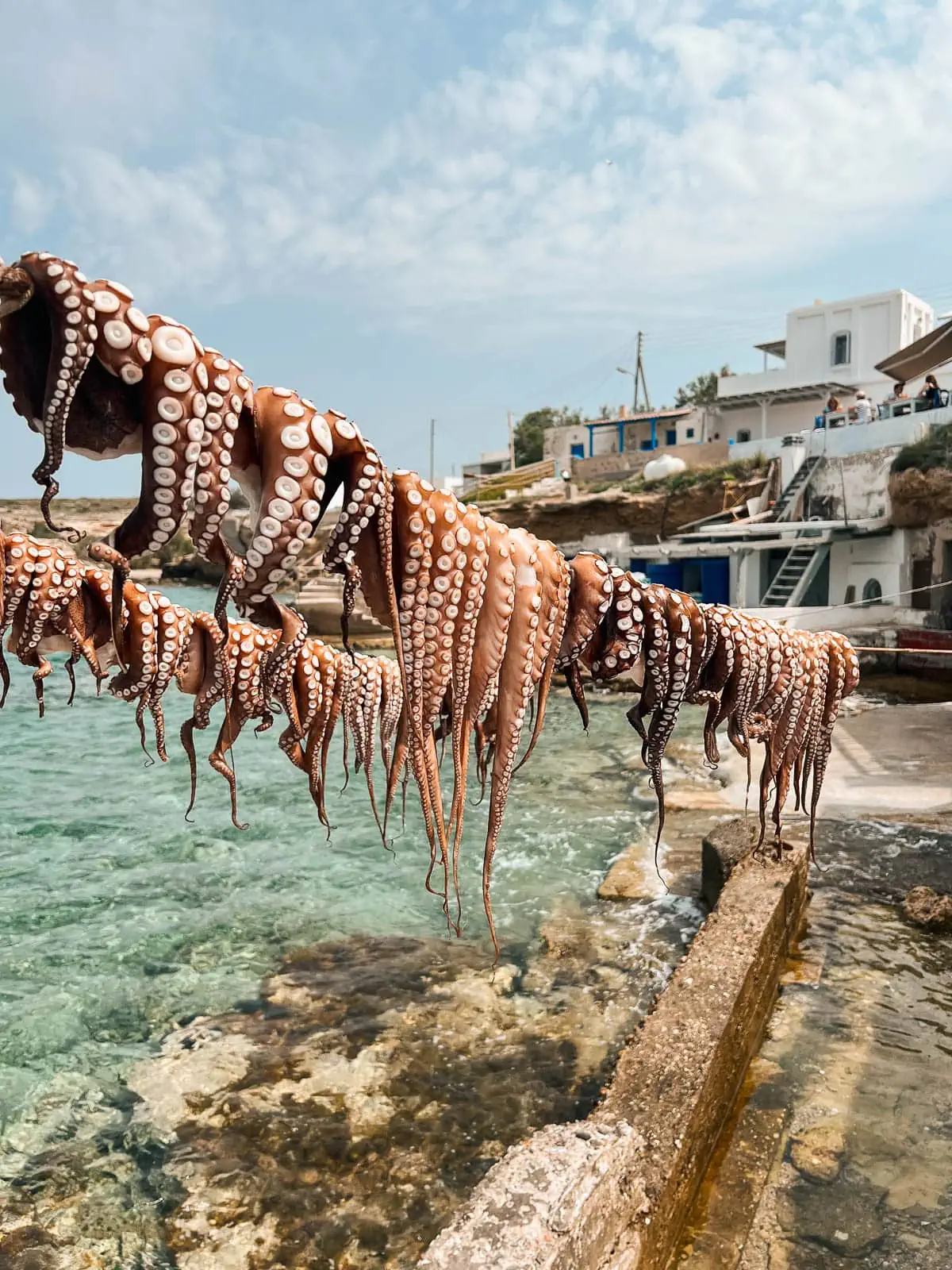 octopus drying near Medusa's on Milos 