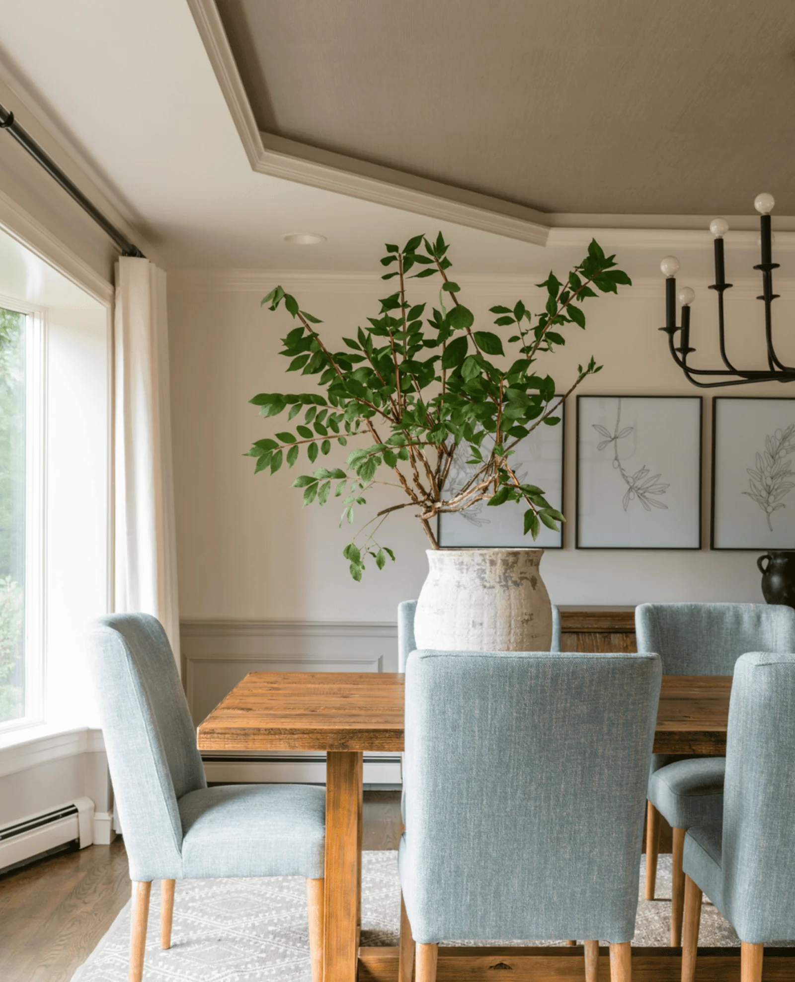 tray ceiling ideas