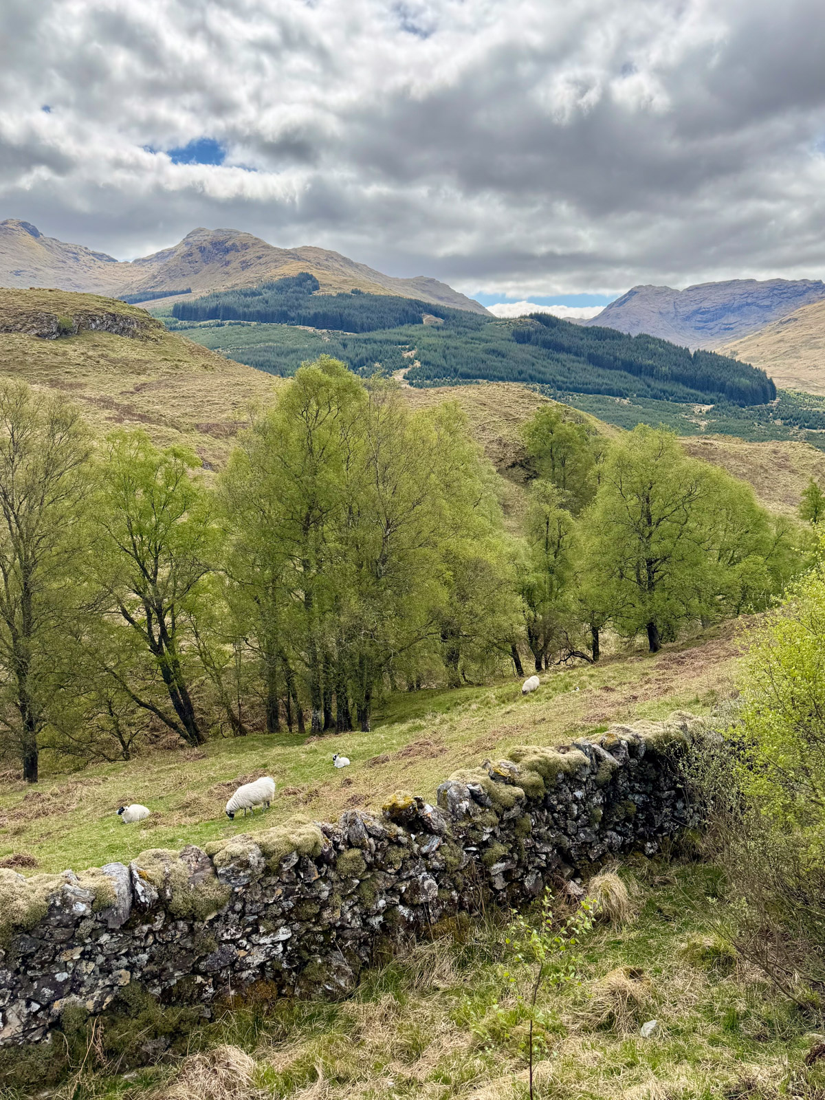 Inverarnan to Tyndrum